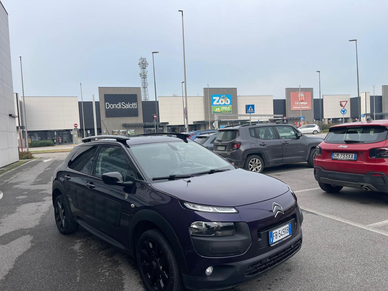 Citroen C4 Cactus BlueHDi 100 Shine