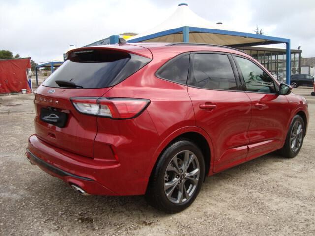 Ford Kuga 1.5 EcoBlue 120 CV 2WD ST-Line 2021