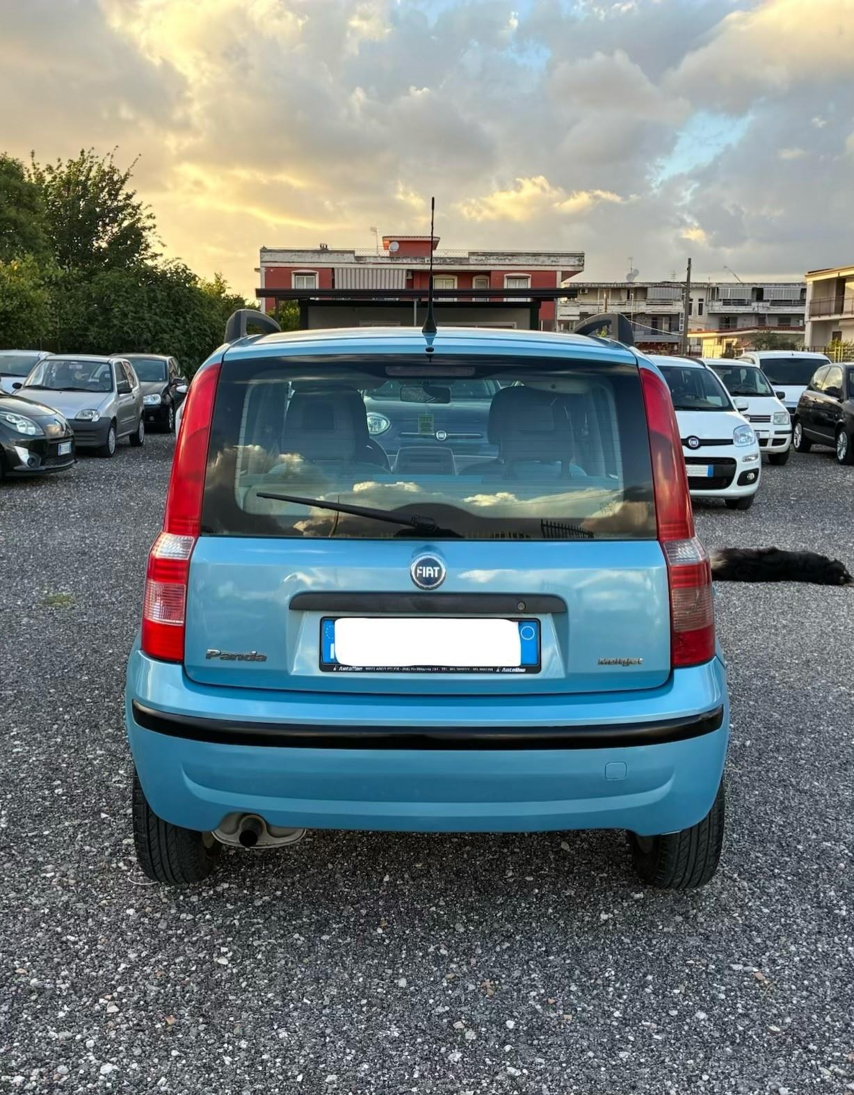 Fiat Panda 1.3 Multijet 69cv - 2005