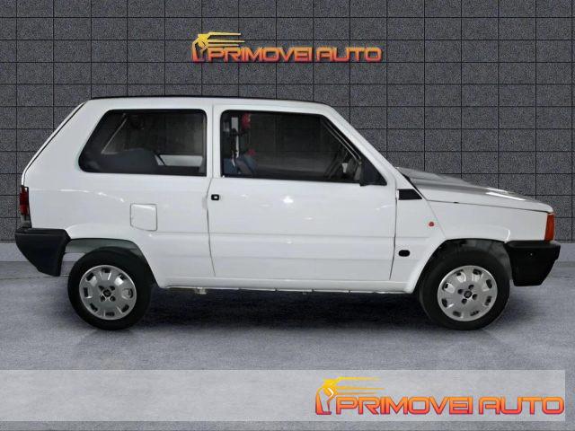 FIAT Panda 1ª serie 1100 i.e. cat Young
