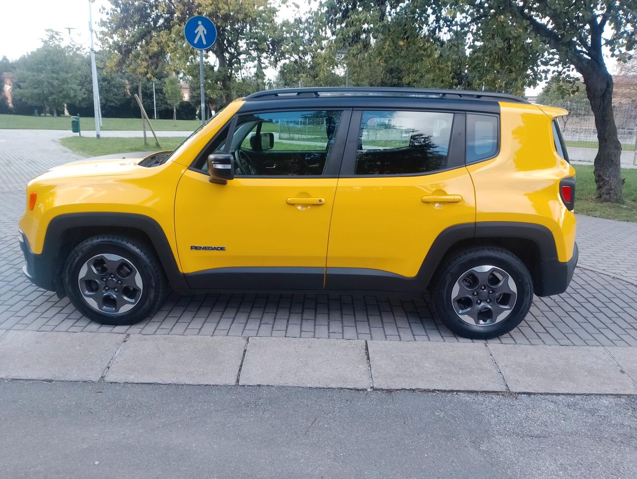 Jeep Renegade 1.6 Mjt 120 CV Longitude