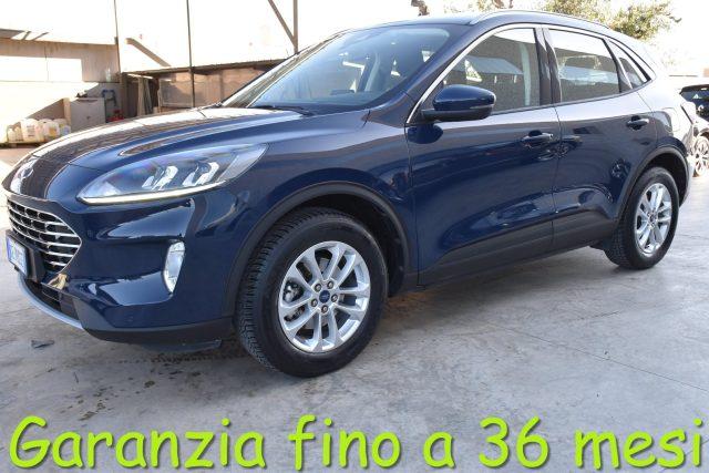 FORD Kuga 1.5 EcoBlue 120 CV aut. 2WD Titanium Business
