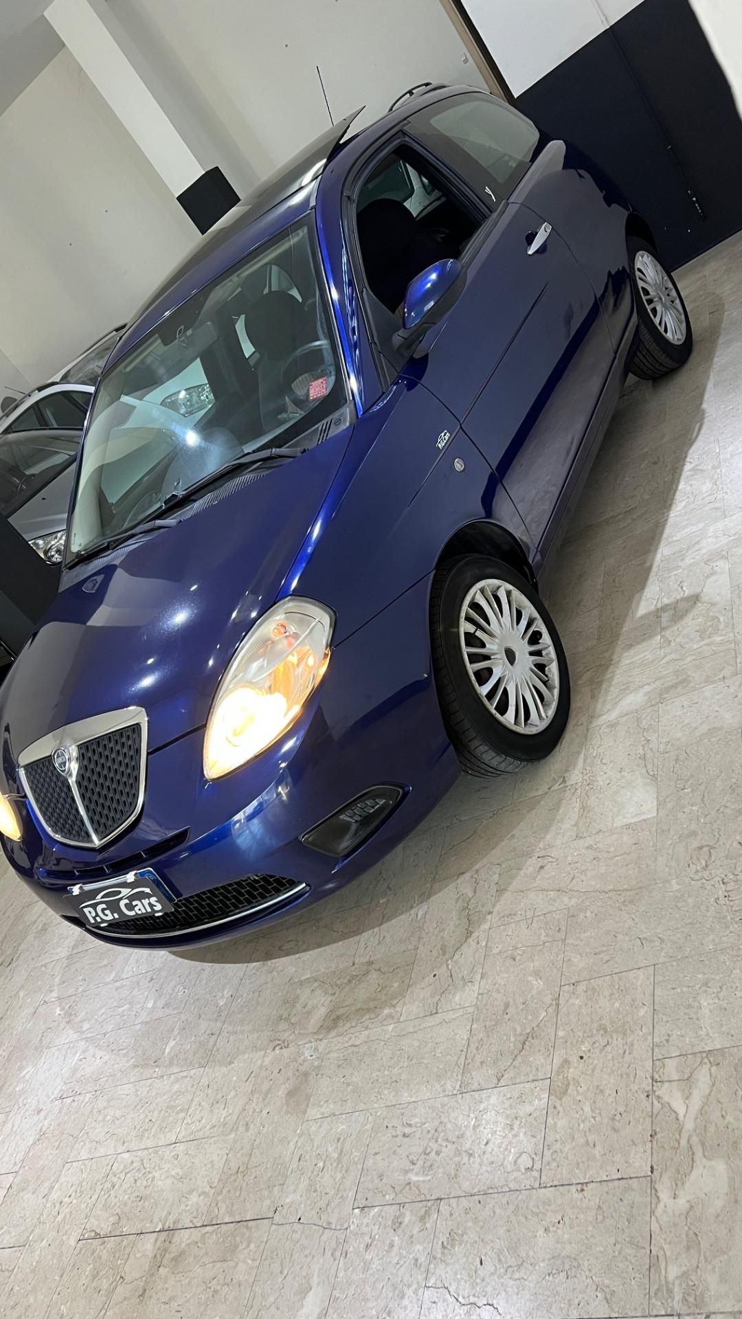 Lancia Ypsilon Platino tetto