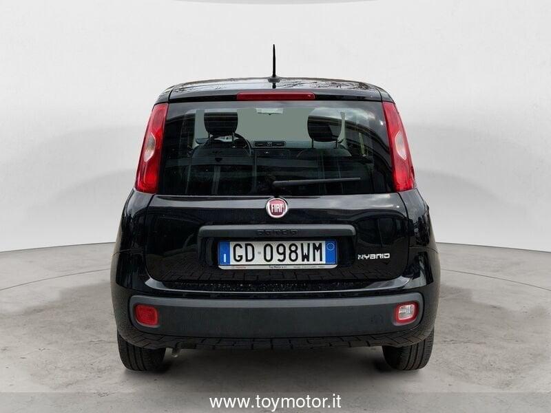 FIAT Panda 3ª serie 1.0 FireFly S&S Hybrid