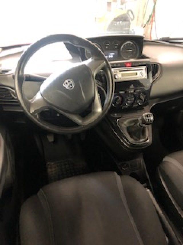 LANCIA Ypsilon 1.2 69 CV 5 porte Elefantino