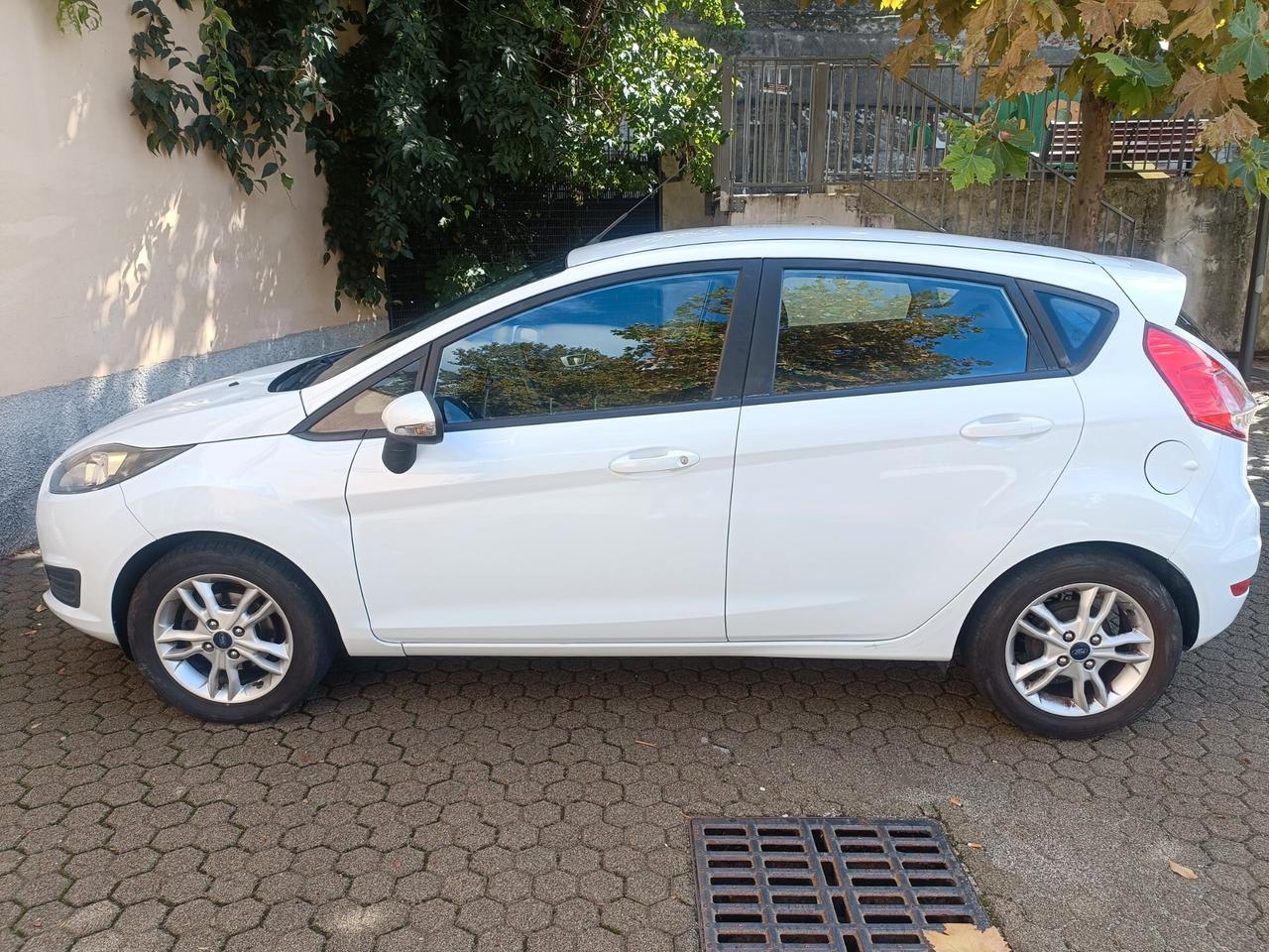 Ford Fiesta 1.2 60CV 5 porte Titanium