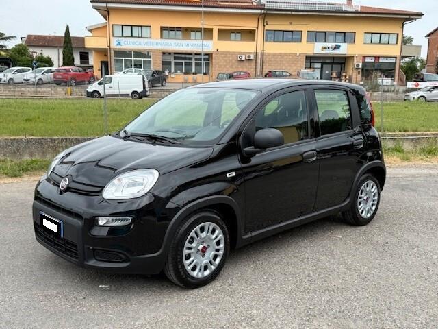 Fiat Panda aziendale iva esposta