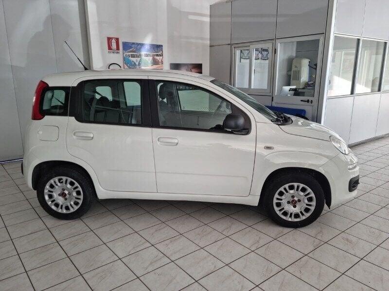 FIAT Panda Panda 1.2 Pop