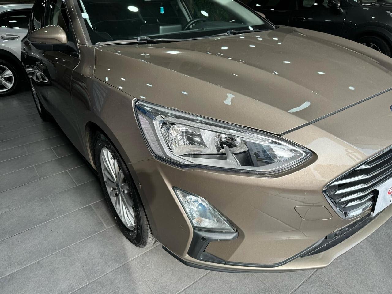 Ford Focus 1.5 EcoBlue 120 CV 5p. Business Cambio Automatico