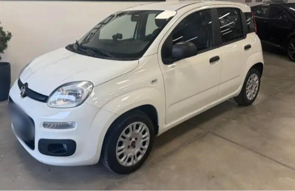 Fiat Panda 1.2 benzina finanziabile con garanzia
