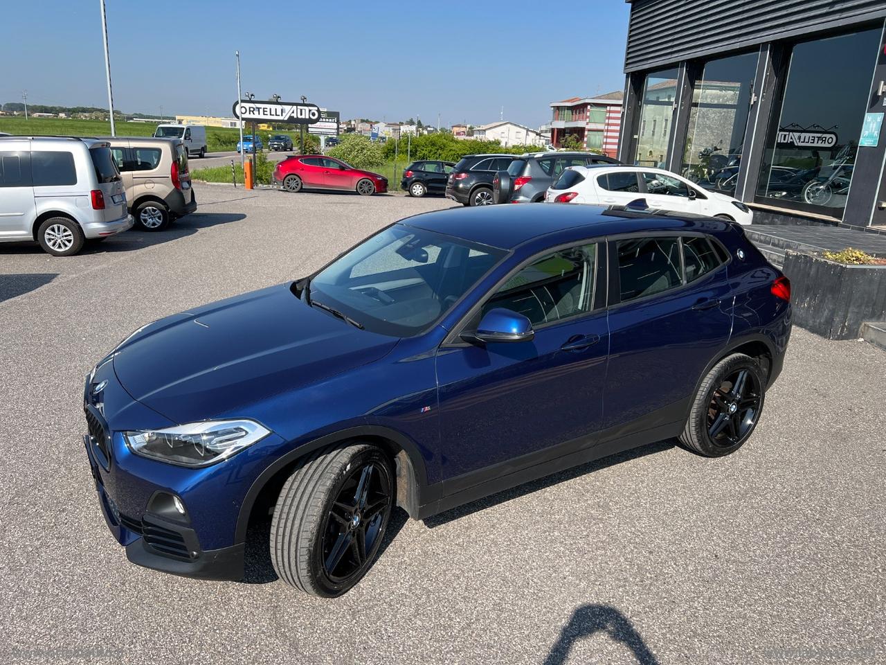 BMW X2 xDrive20d Business-X