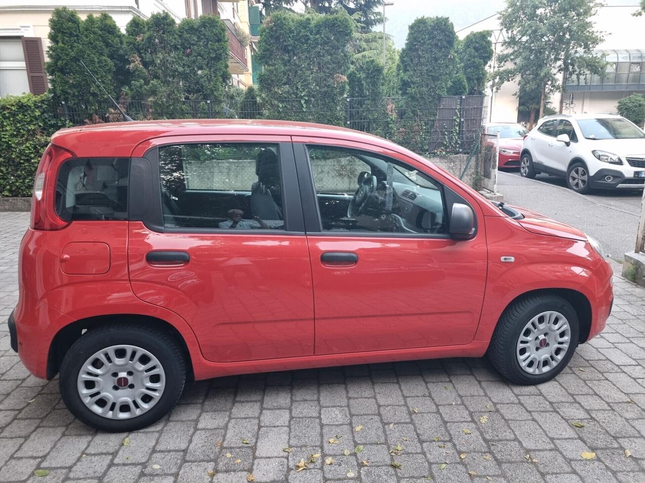 Fiat Panda 1.2 69cv anno2017 km44000 neopatentati