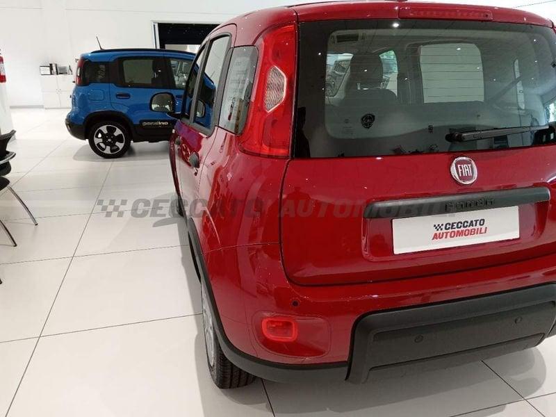 FIAT Panda 1.0 70cv Hybrid Panda