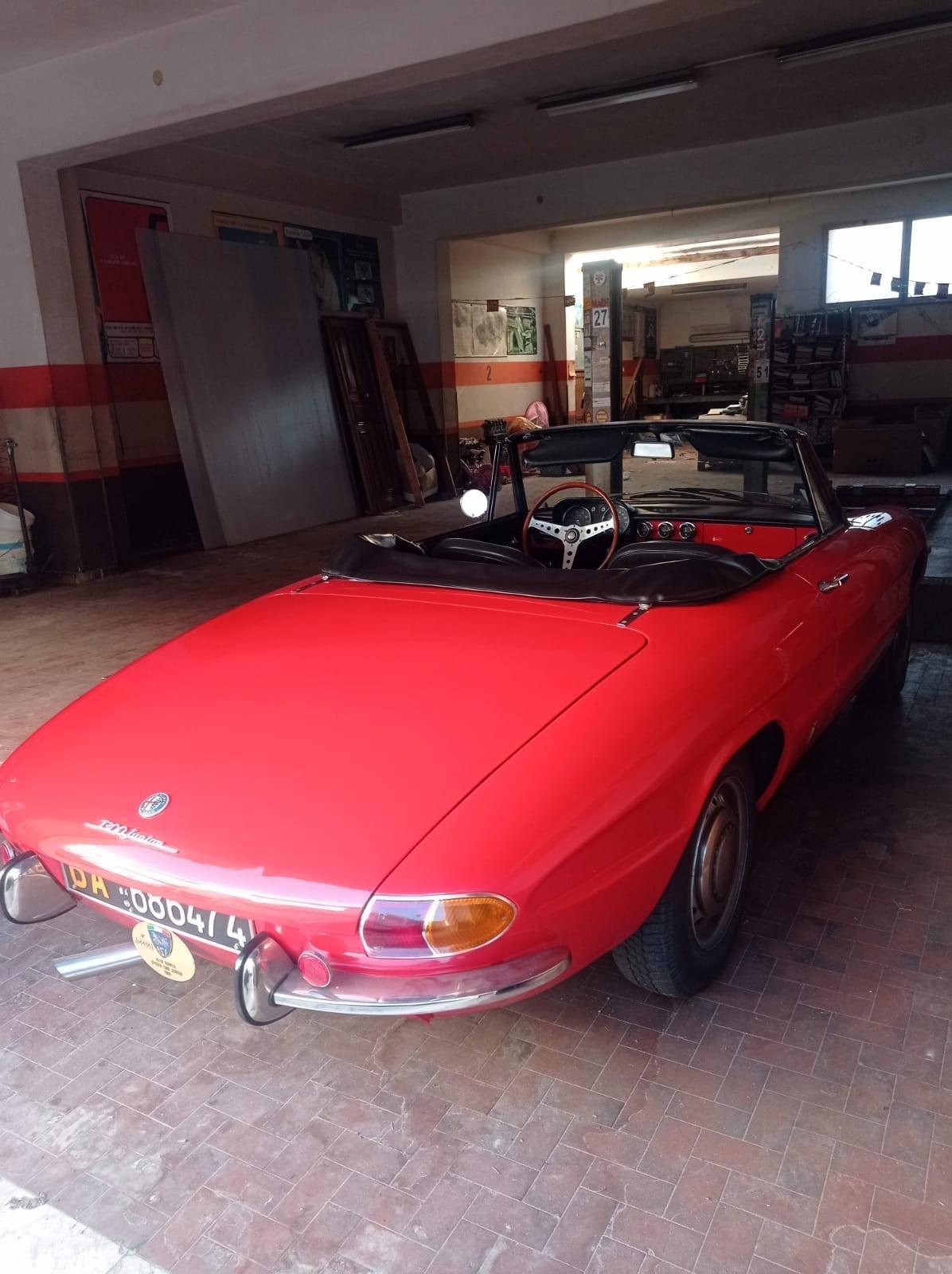 ALFA ROMEO DUETTO SPIDER ** OSSO DI SEPPIA **