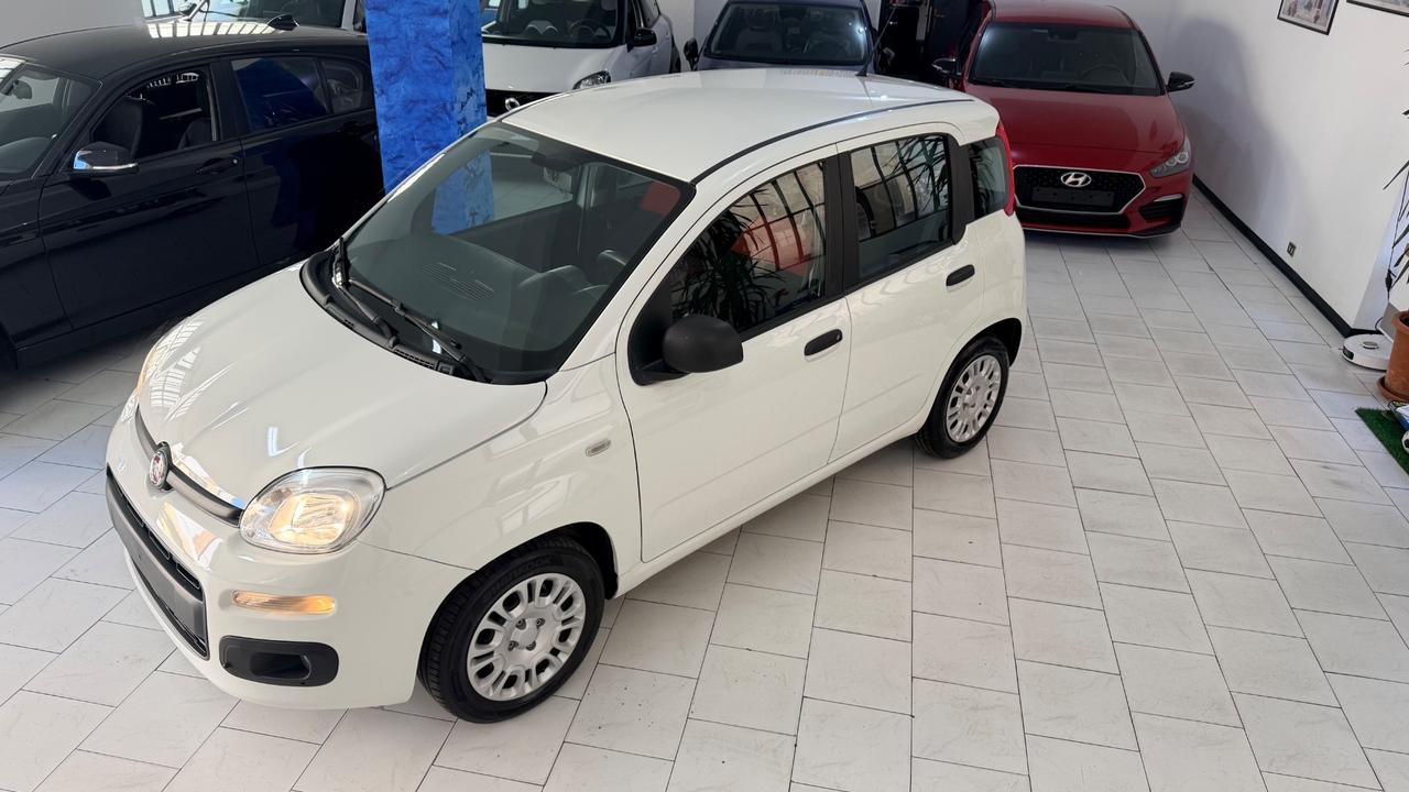 Fiat Panda 1.2 Lounge