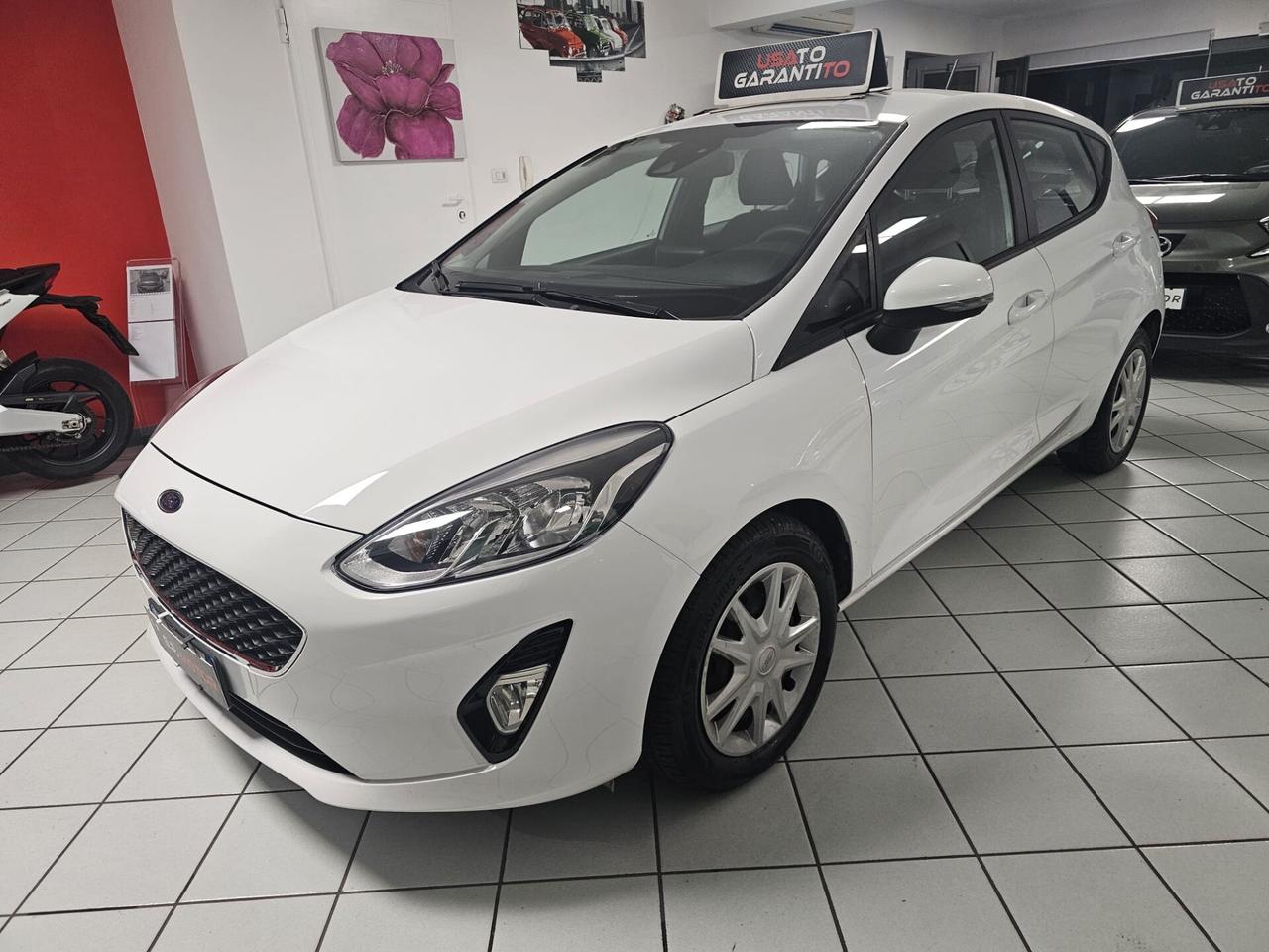 Ford Fiesta 1.5 EcoBlue 5 porte Vignale