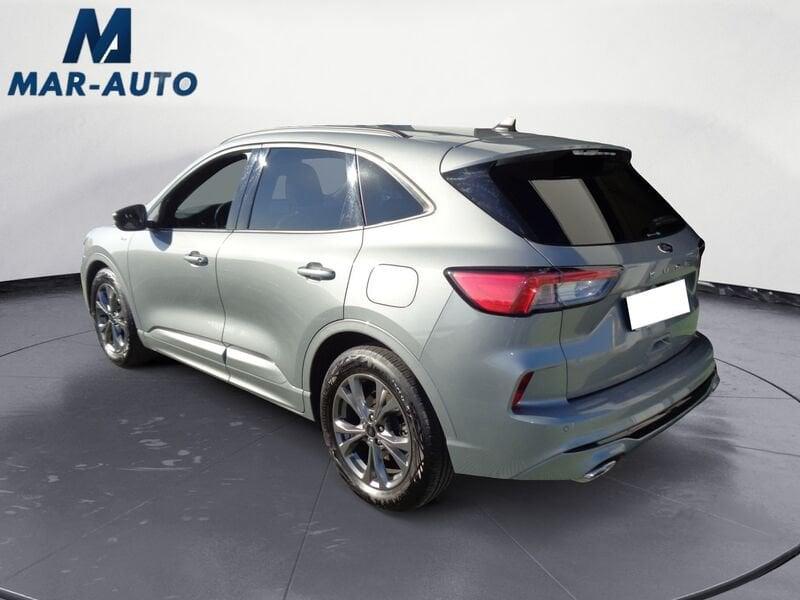 Ford Kuga Kuga 1.5 EcoBlue 120 CV 2WD ST-Line