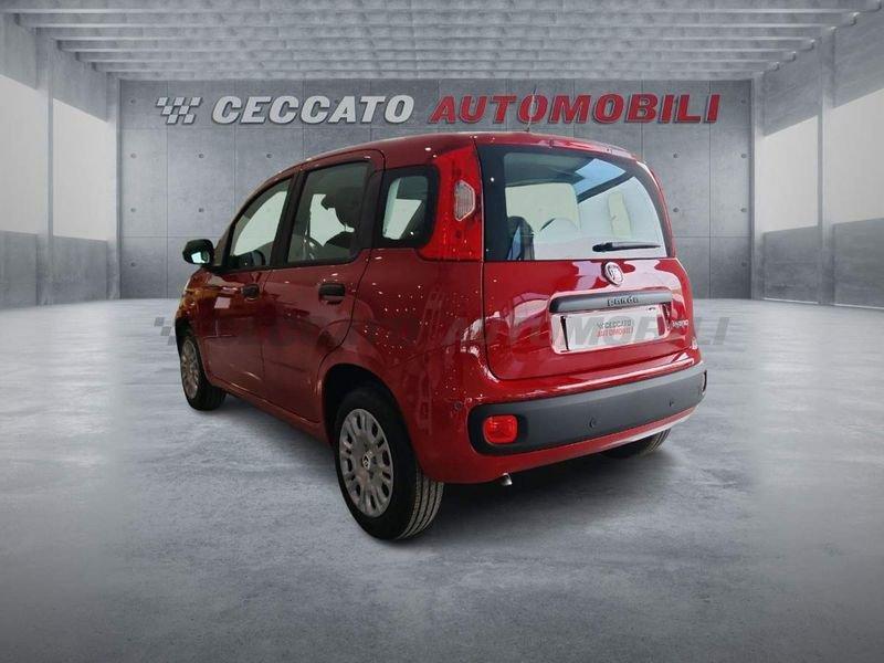 FIAT Panda Panda 1.0 firefly hybrid s&s 70cv