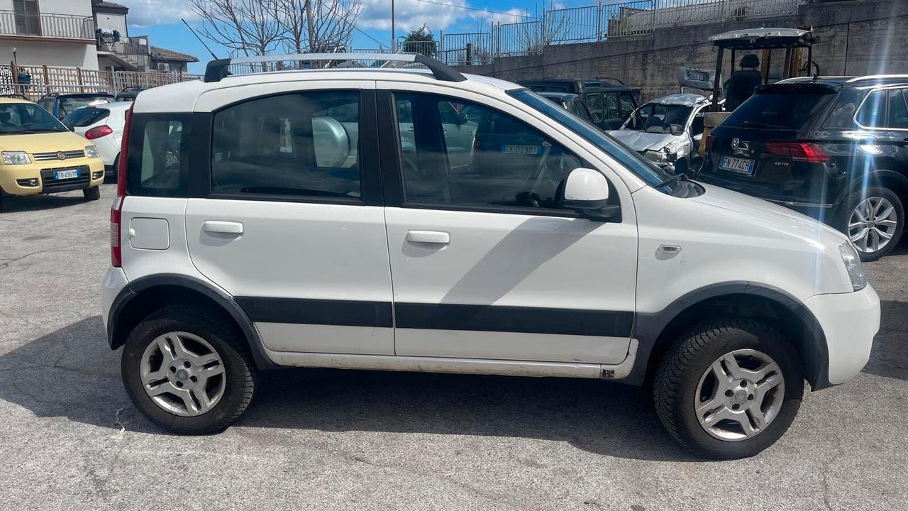 Fiat Panda 1.3 MJT 16V DPF 4x4 Climbing