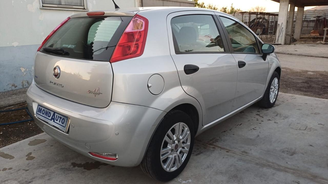 Fiat Punto 1.2 8V 5 porte Street 2015