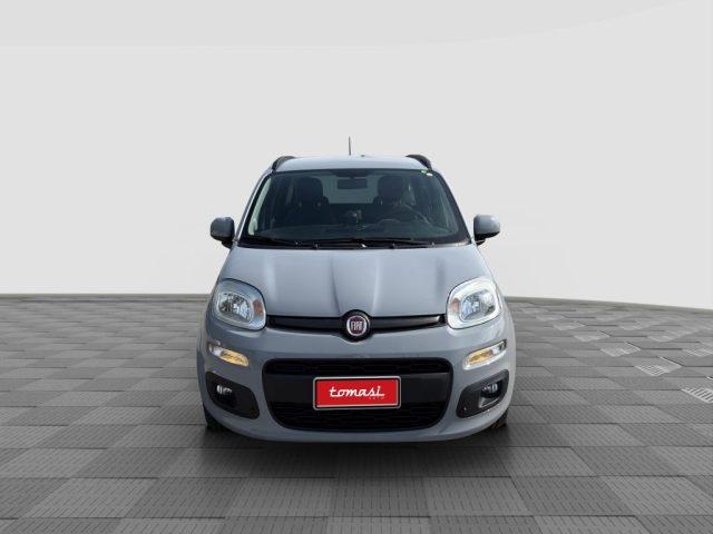 FIAT Panda Panda 1.2 Lounge
