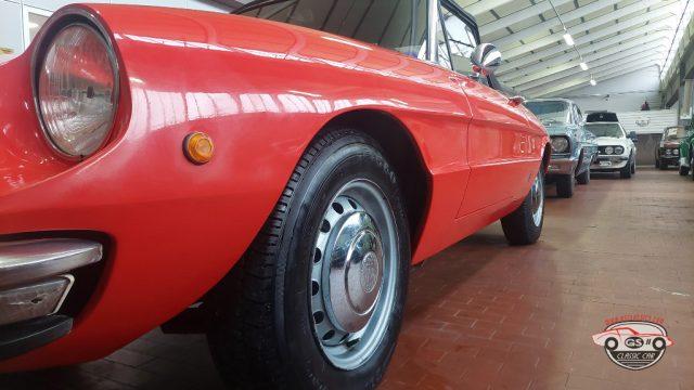 ALFA ROMEO Spider Duetto osso di seppia 1.3