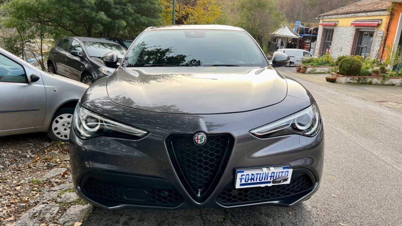 Alfa Romeo Stelvio 2.2 Turbodiesel 210 CV AT8 Q4 Executive