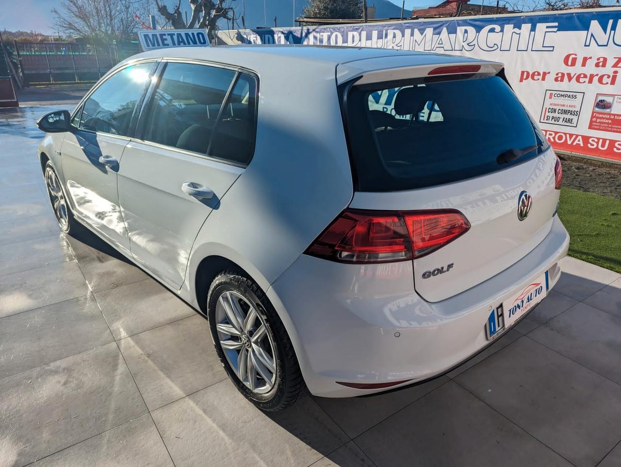Volkswagen Golf 1.4 TGI 5p. Executive BlueMotion NORITA SENSORI