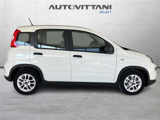 FIAT Panda 1.0 FireFly Hybrid 70cv City Life S&S 5p.ti