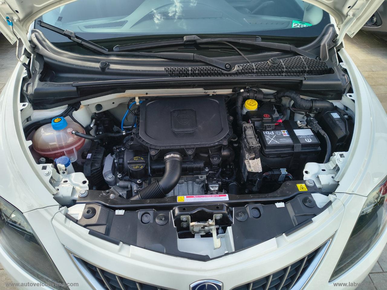 LANCIA Ypsilon 1.0 FireFly 5p.S&S Hybryd Gold