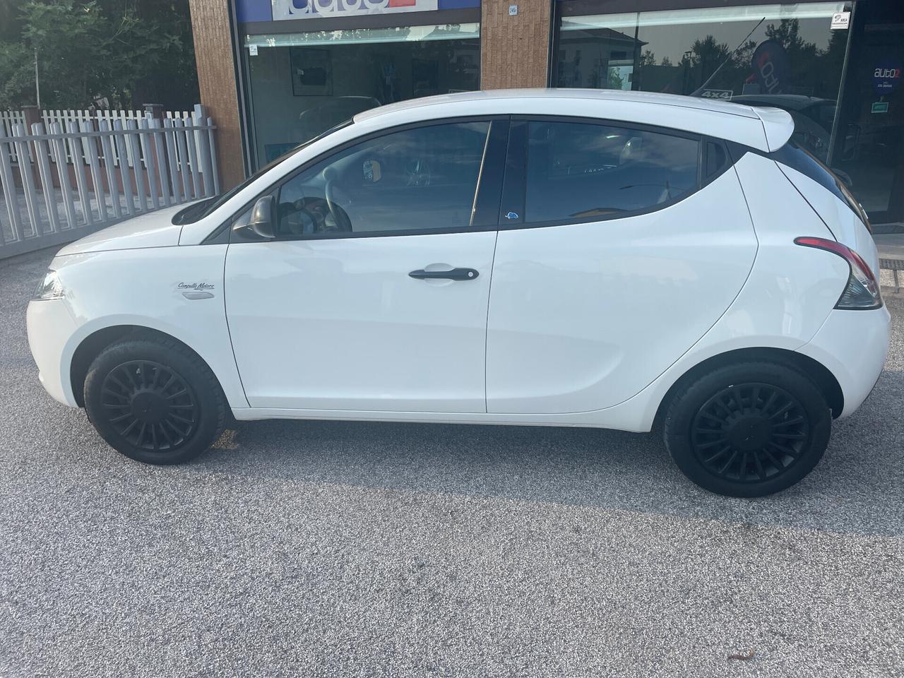 Lancia Ypsilon 1.2 69 CV 5 P. Elefantino X NEOPATENTATI
