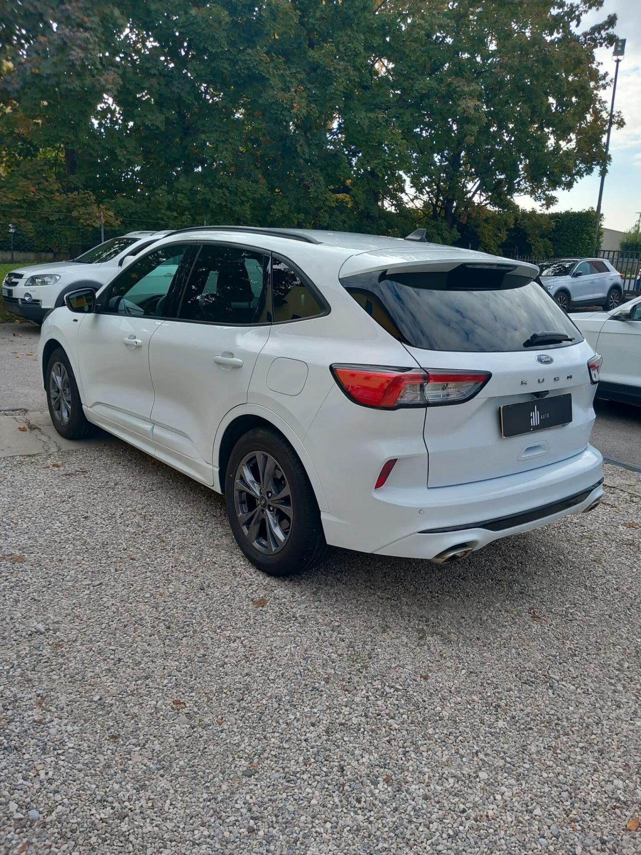 Ford Kuga 1.5 EcoBlue 120 CV 2WD ST-Line