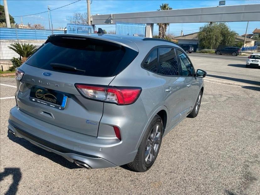 Ford Kuga 1.5 EcoBlue 120 CV 2WD ST-Line