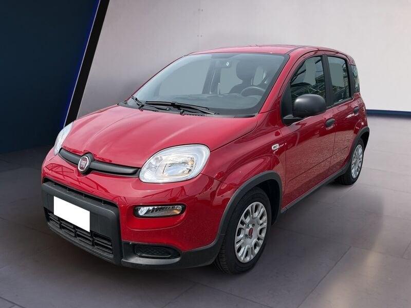 FIAT Panda My24 1.0 70cv Hybrid Panda