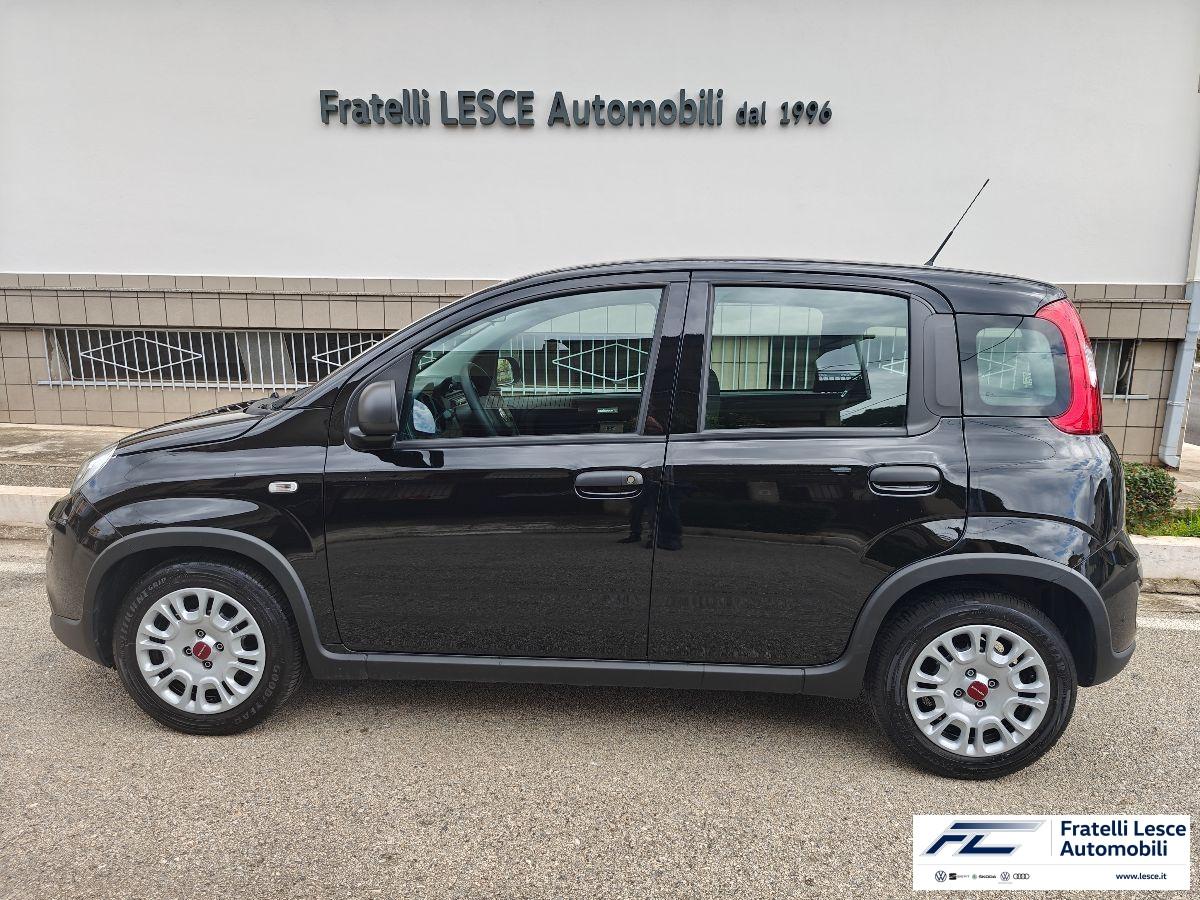 FIAT - Panda 1.0 hybrid s&s 70cv (Conto Vendita - Pronta Consegna))