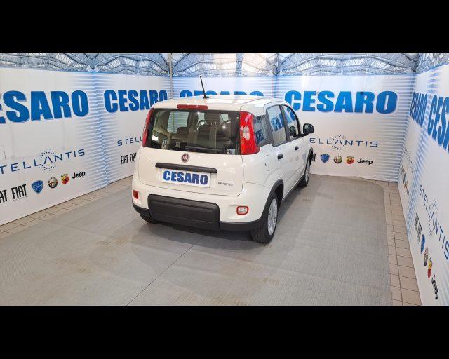 FIAT New Panda 1.0 firefly hybrid s&s 70cv 5p.ti