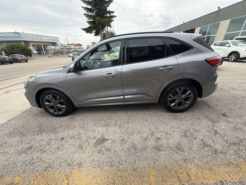 Ford Kuga 1.5 EcoBlue 120 CV ST-Line