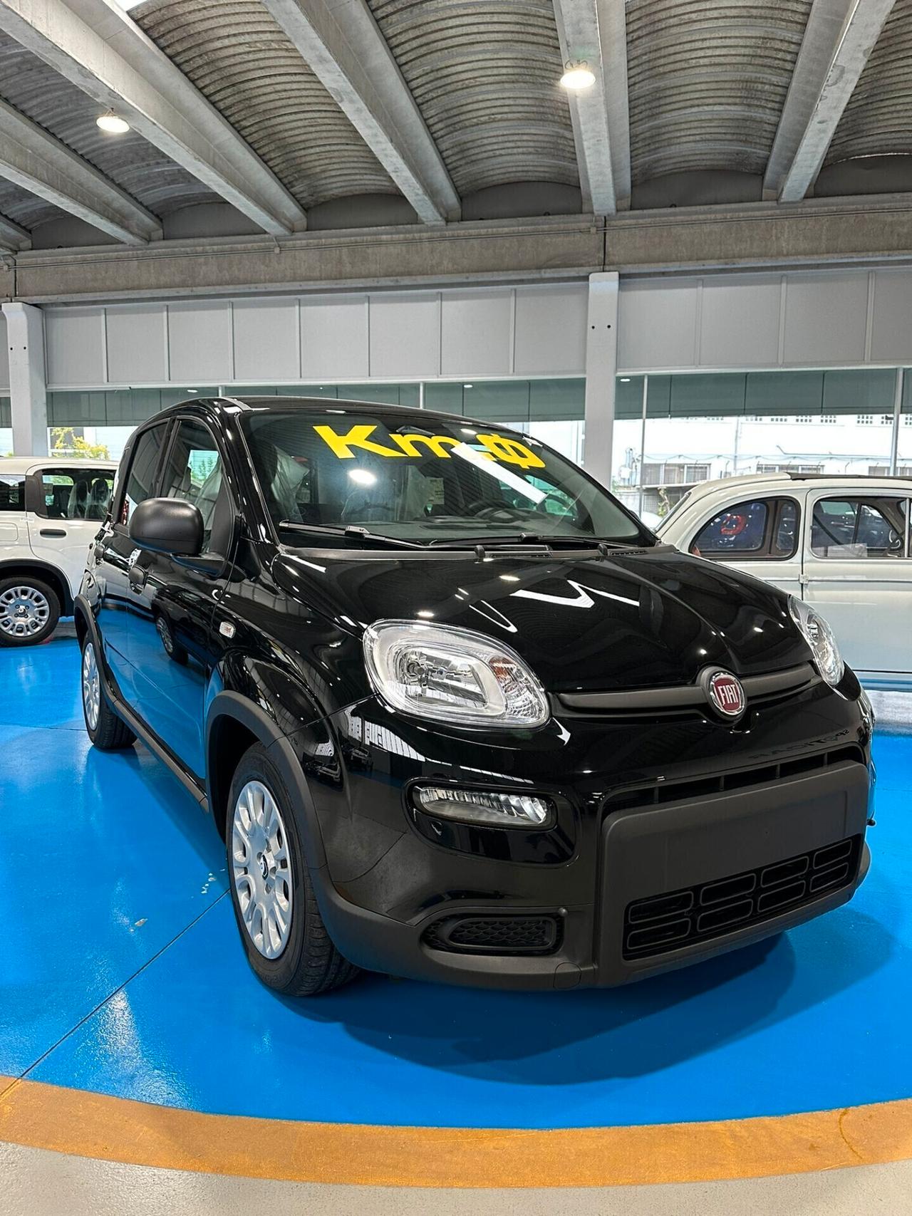 FIAT panda NUOVA PANDINA KM 0 2024