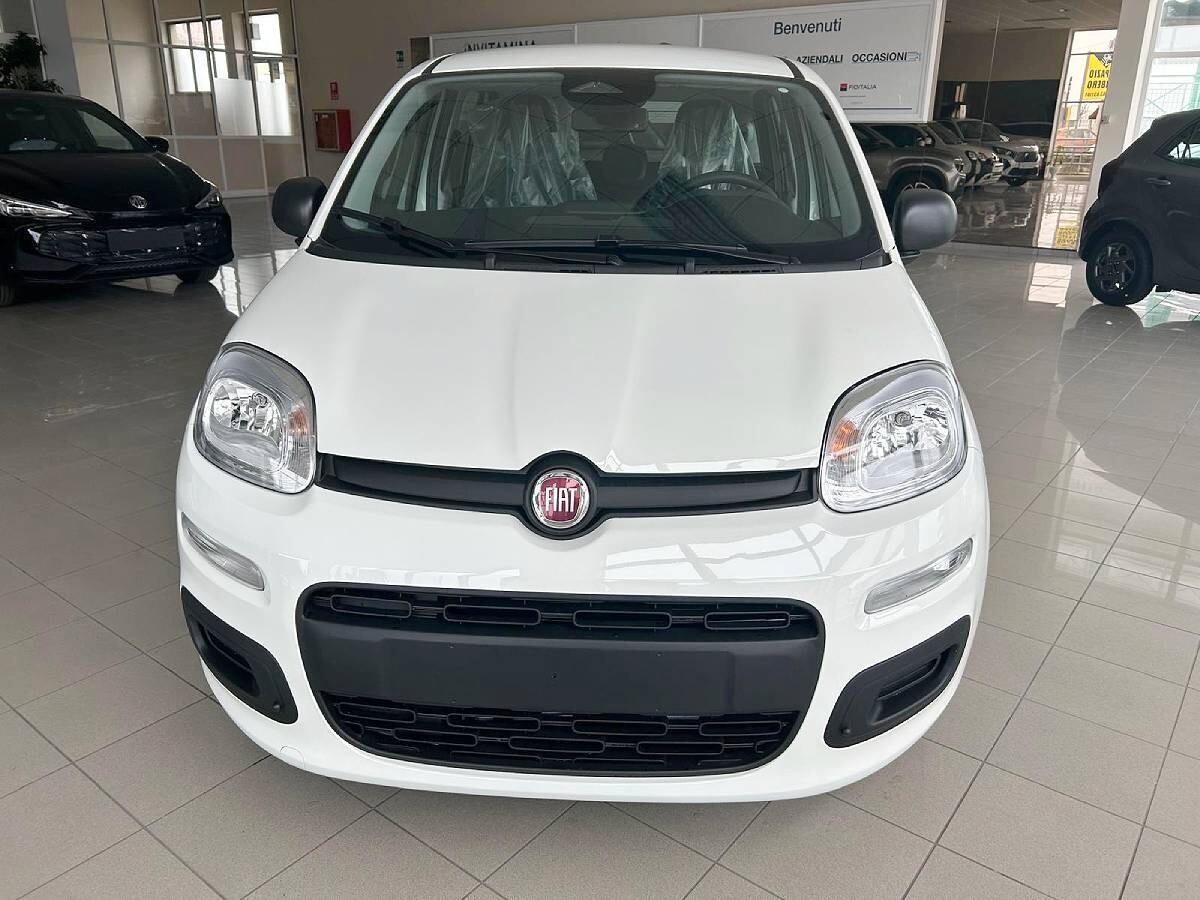 Fiat Panda 1.0 FireFly S&S Hybrid Icon