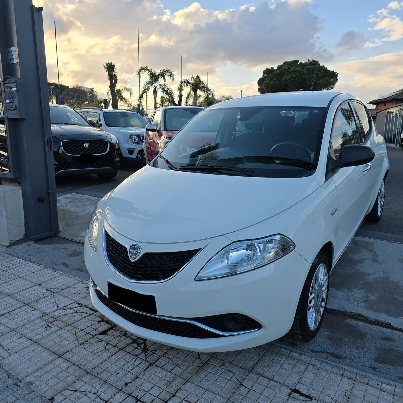 Lancia Ypsilon 1.2 69 CV 5 porte Platinum