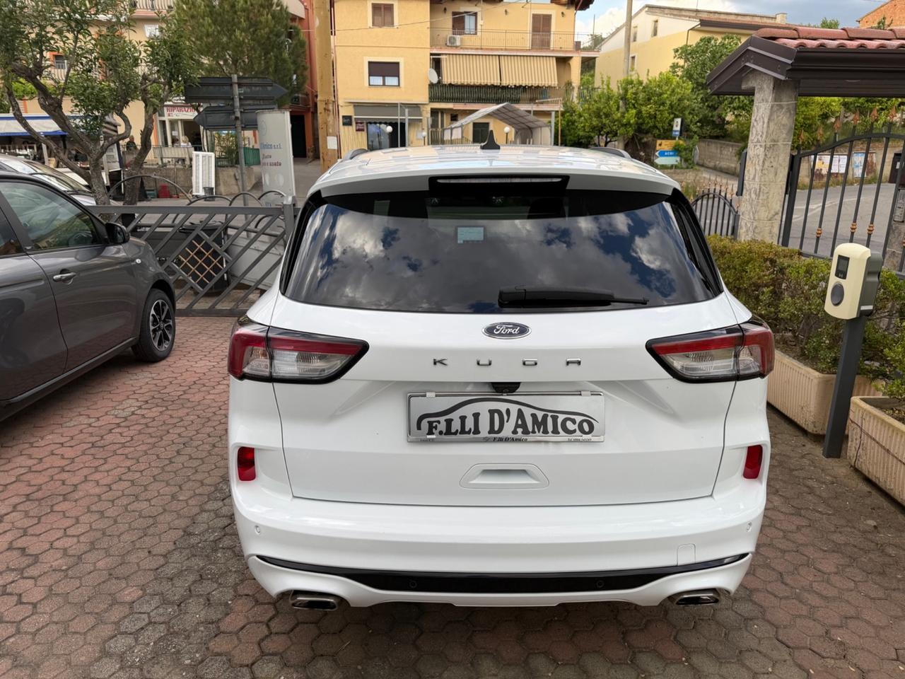Ford Kuga 1.5 EcoBlue 120 CV aut. 2WD ST-Line