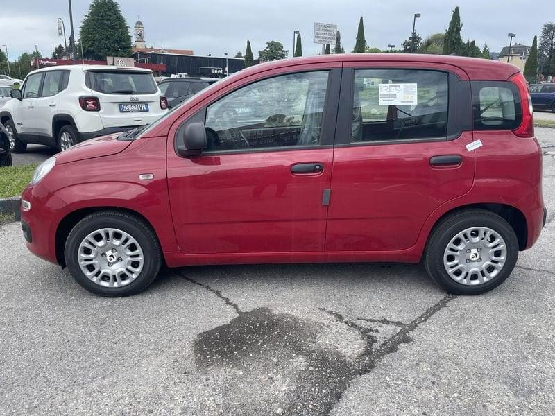 FIAT Panda SOLO PER GENNAIO ANCHE SENZA ROTTAMAZIONE