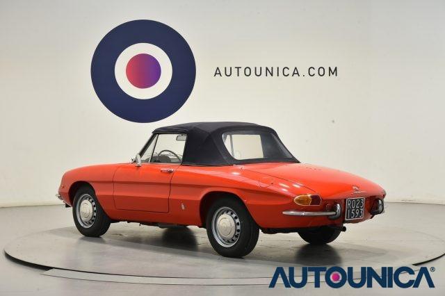 ALFA ROMEO Spider 1300 JUNIOR OSSO DI SEPPIA ASI TARGA ORO