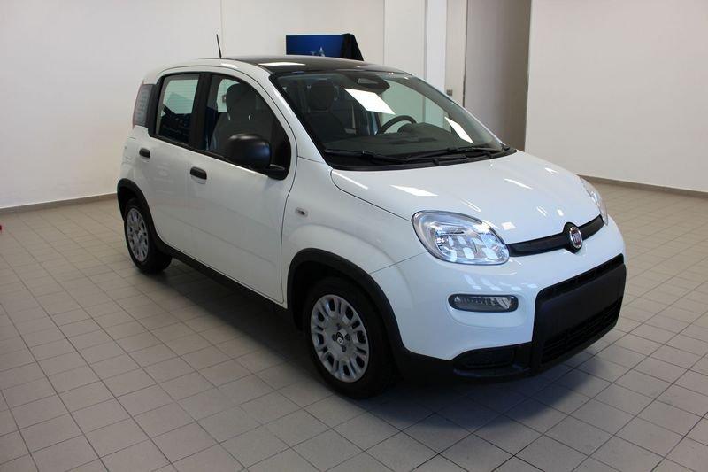 FIAT Panda 1.0 FireFly S&S Hybrid Pandina