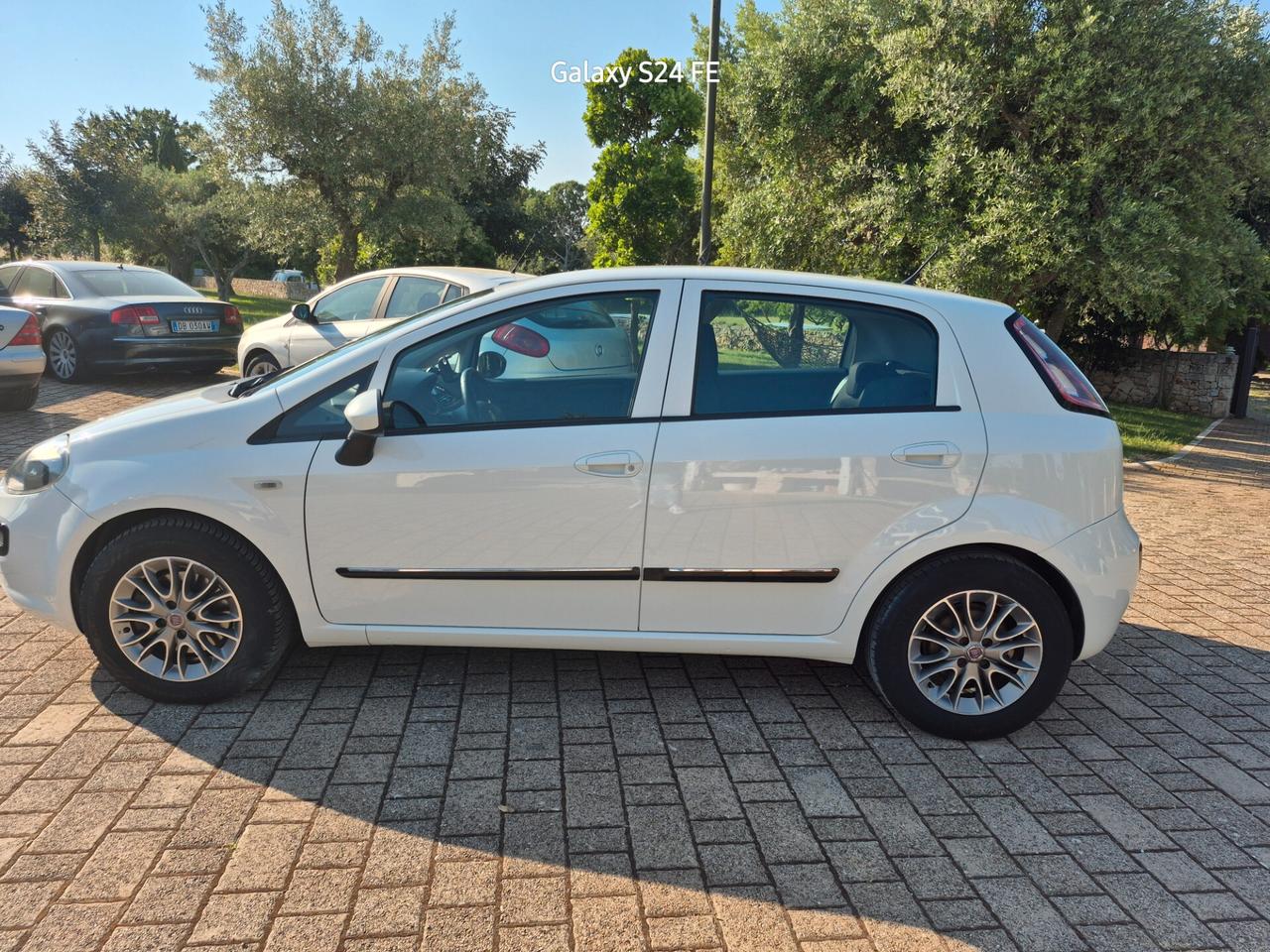 Fiat Punto Evo 1.3 Mjt 75 CV DPF 5 porte S&S MyLife
