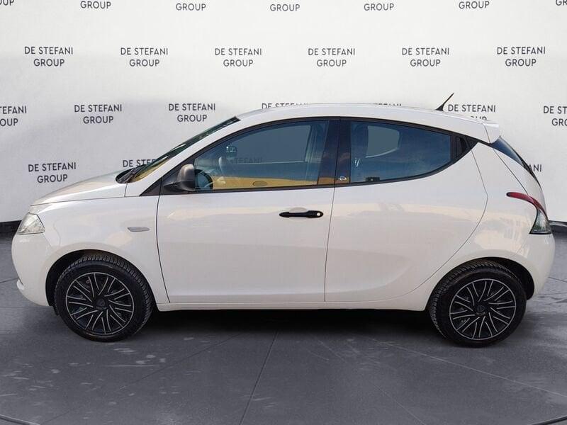 Lancia Ypsilon Ypsilon 1.2 Platinum ecochic Gpl 69cv my19