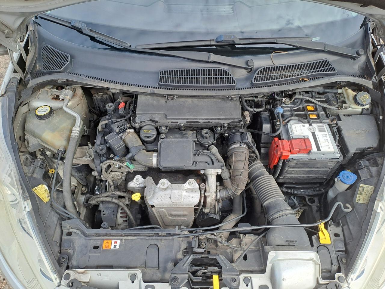 Ford Fiesta 1.4 TDCi 5p. Unico proprietario