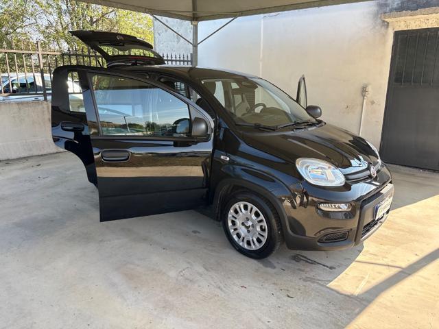 FIAT Panda 1.0 FireFly S&S Hybrid COME NUOVA PRONTA CONSEGNA