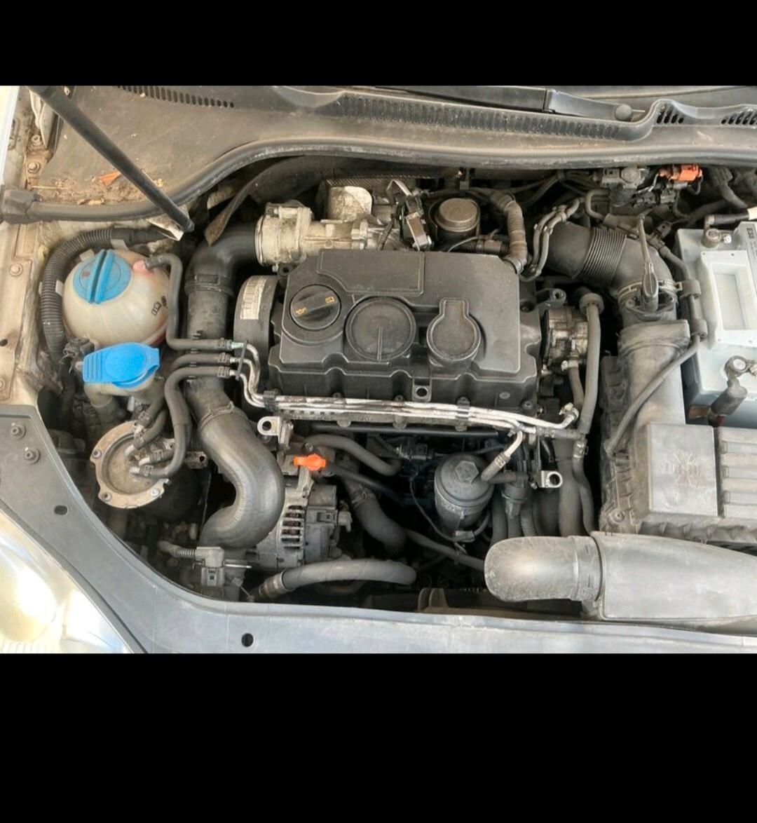 Volkswagen Golf 1.9 TDI DPF 3p. 2008