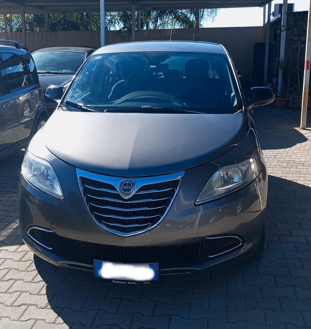 Lancia Ypsilon 1.3 MJT 16V 95 CV 5 porte S&S Gold